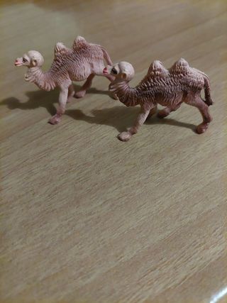 2 cammelli per presepe