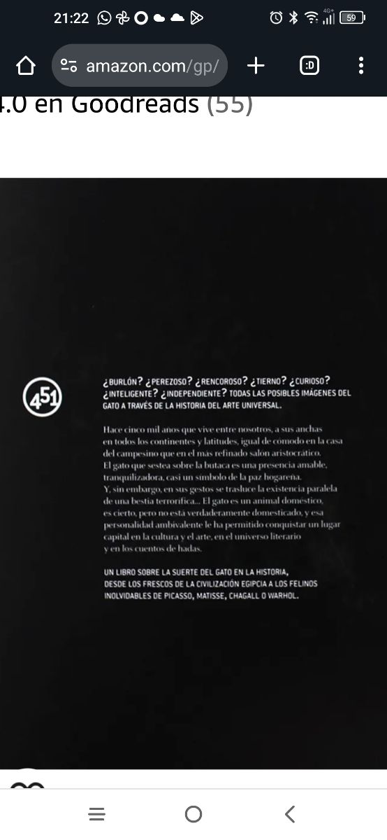 Gatos en el arte (451.jpeg) (Spanish Edition)