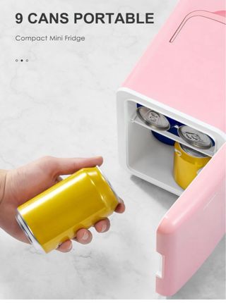 Mini Nevera Portátil