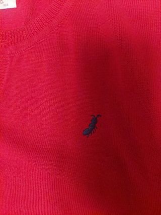 Jersey Laormiga niño 16 + regalo