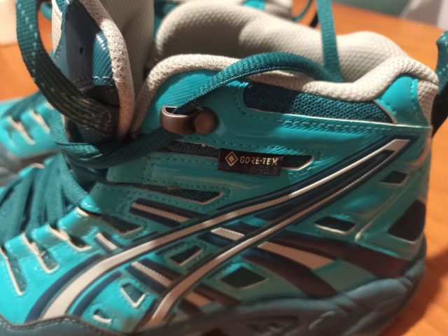 ASICS GEL GORETEX