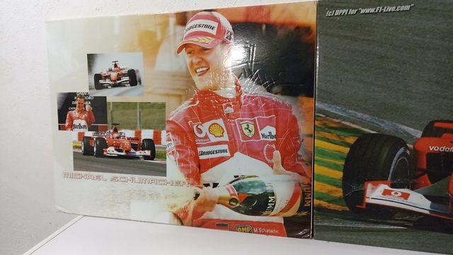 Cuadros espuma Michael Schumache formula 1r