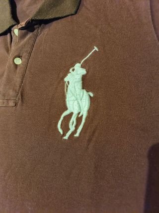 Polo jersey y chaqueta pack