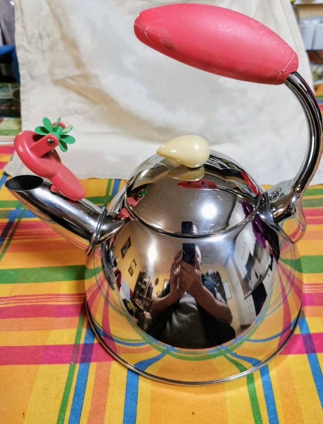 Bollitore inox Brandani 