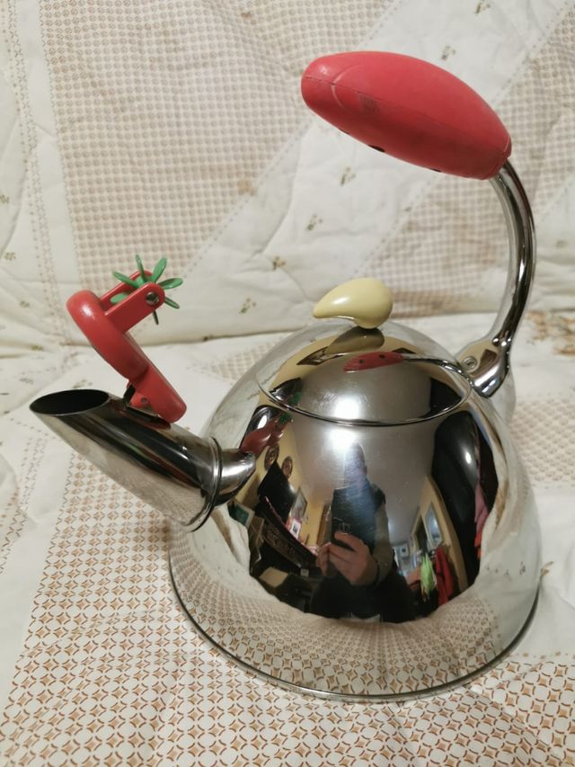 Bollitore inox Brandani 