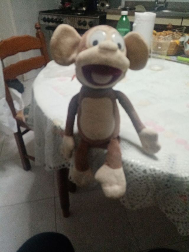 Scimmia peluche
