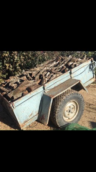 LEÑA DE ENCINA 686834994