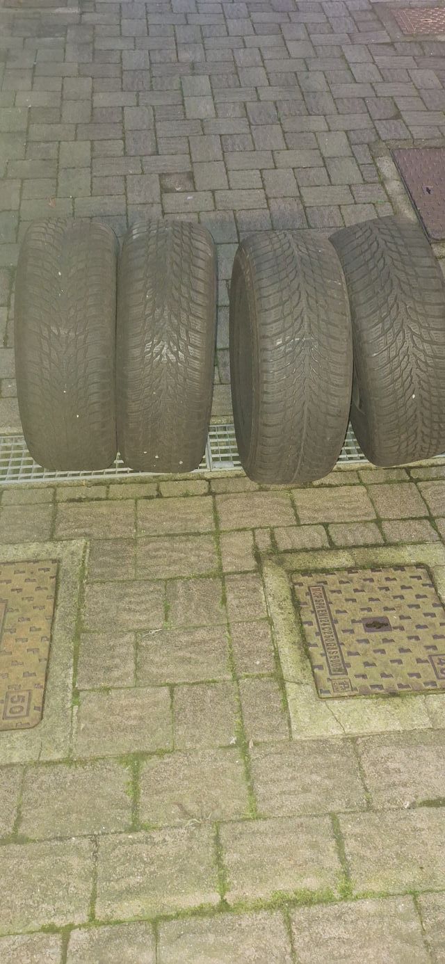 Gomme invernali Nokian con cerchi in ferro 205/55