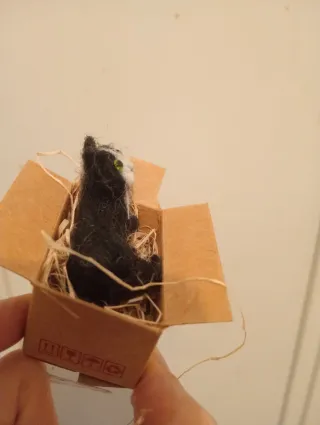 Pequeño gatito hecho a mano en su cajita