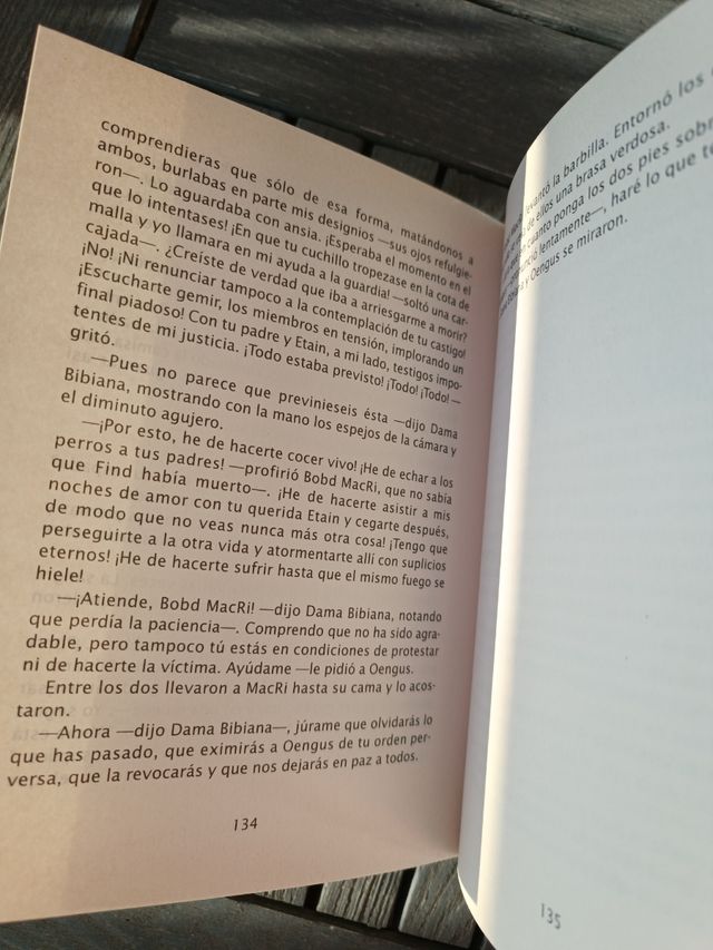 El Enigma Del Caballero En El Espejo