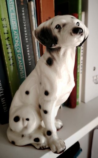 Perro dálmata