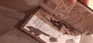 Libro manga japones