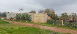 Terreno rustico