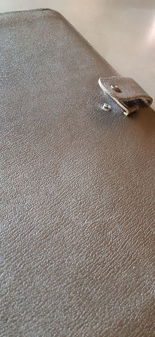 Cartera de piel argentina. Documentos 