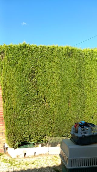Jardinero economico
