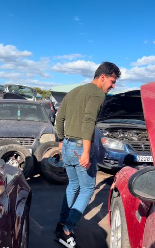 Pintura, Casa, Jardin, Mudanzas