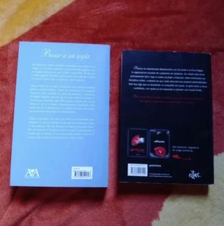 Novelas románticas lote de 2 libros