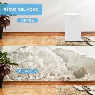 Deshumidificador 20 Litros día WiFi NUEVO