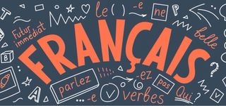 Profesor del frances