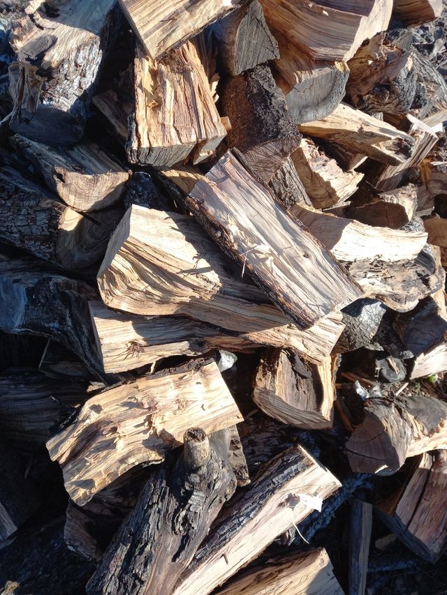 Leña olivo Llenya olivera