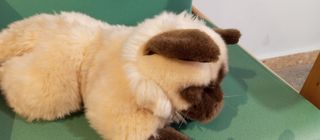 Gato de peluche Anna Club plush