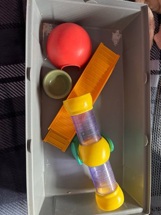 Jaula hamster