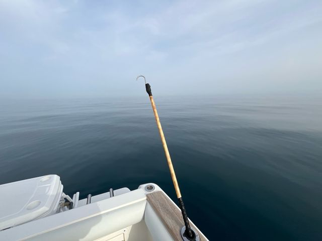 Bichero Pesca Custom