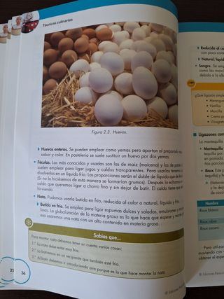 Técnicas culinarias