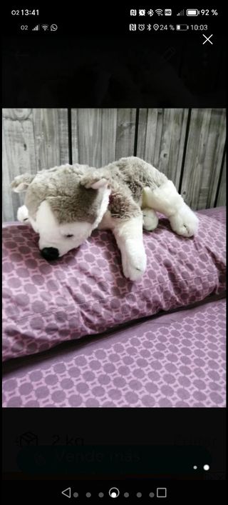 Lote peluches y cojines