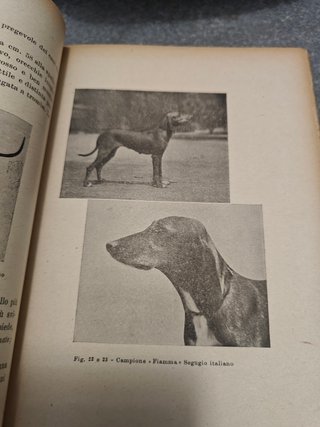 Manuale del cacciatore col segugio