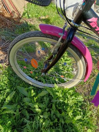 Bicicleta niña 20 pulgadas