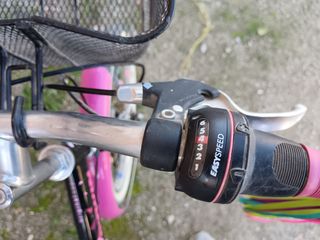 Bicicleta niña 20 pulgadas