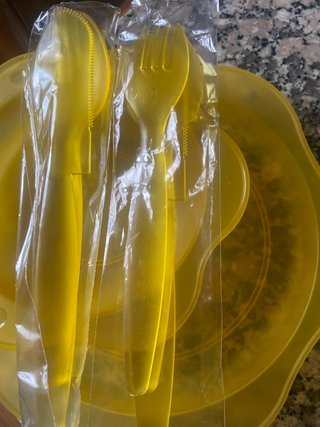 Platos de plastico duro