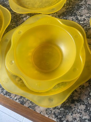 Platos de plastico duro