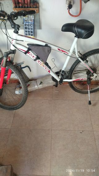 Bicicleta montaña