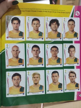 Fifa world cup Brasil 2014