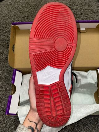 Dunk Sb Chicago
