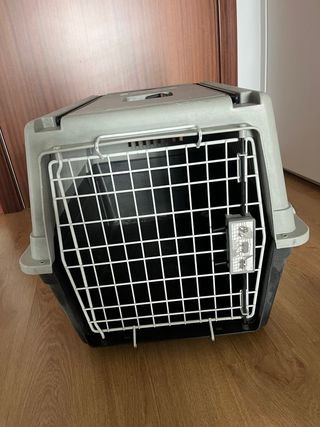 Transportin animal