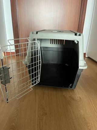 Transportin animal