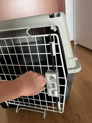 Transportin animal
