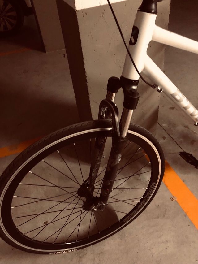 Bici | FIXIE Piñon Fijo.