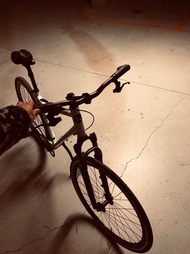 Bici | FIXIE Piñon Fijo.