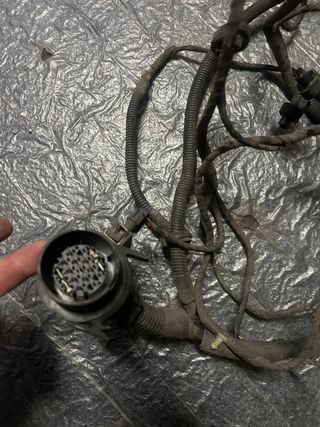 Oticas bifocais golf 3 U.S.A