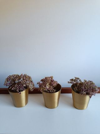 Set di vasi da fiori dorati