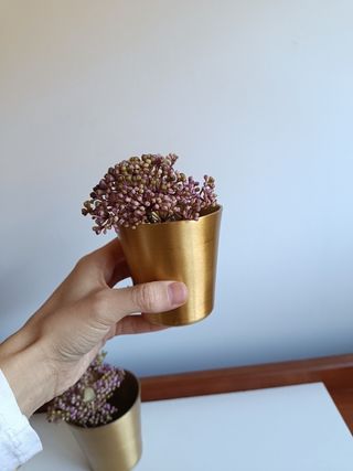 Set di vasi da fiori dorati