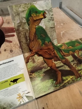 Libro Dinosaures