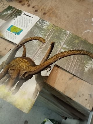Libro Dinosaures
