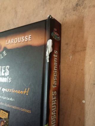 Libro Dinosaures
