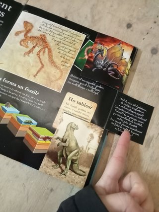 Libro Dinosaures