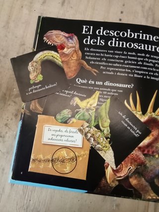Libro Dinosaures